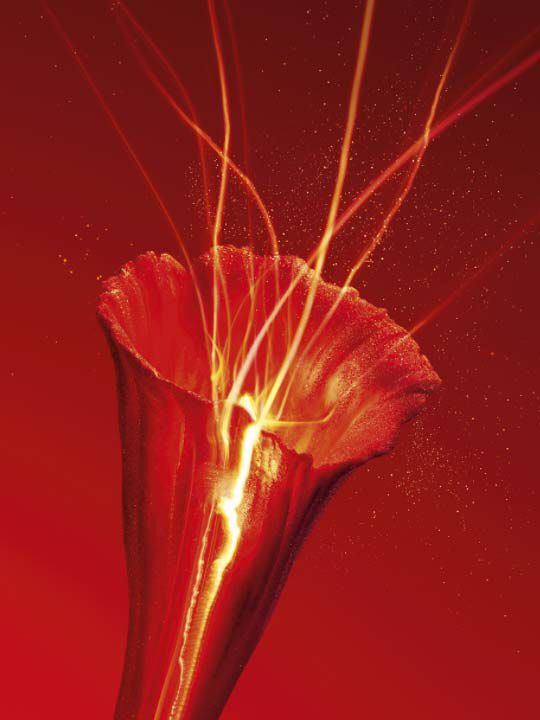 OR ROUGE LA LOTION - Skincare Luxury - YSL Beauty Canada