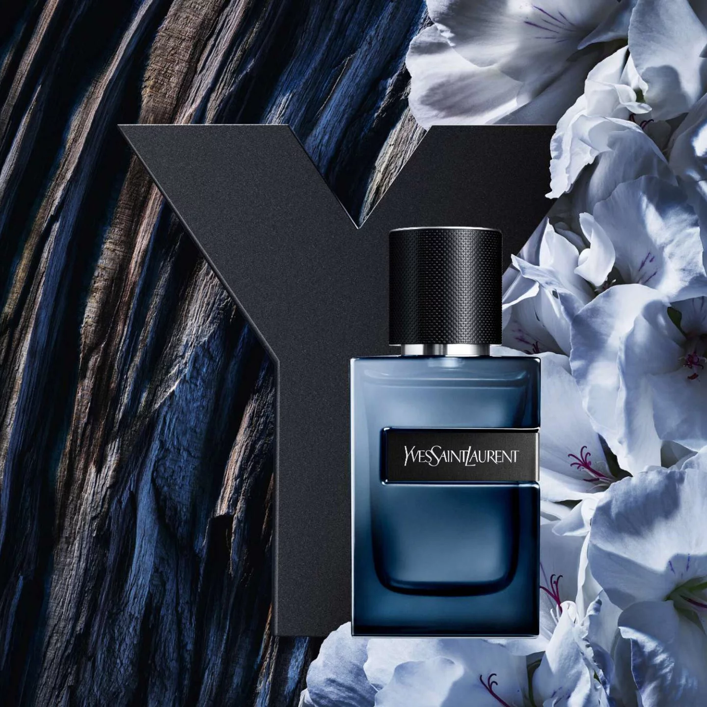 Y L'ELIXIR
