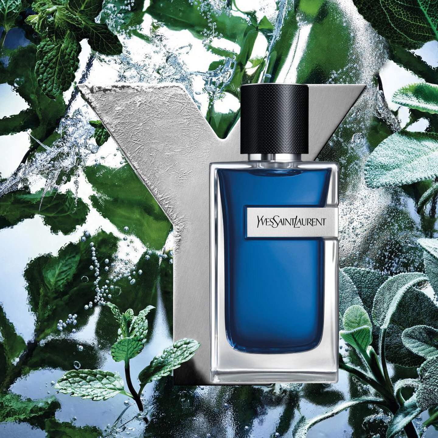 Y ICED COLOGNE