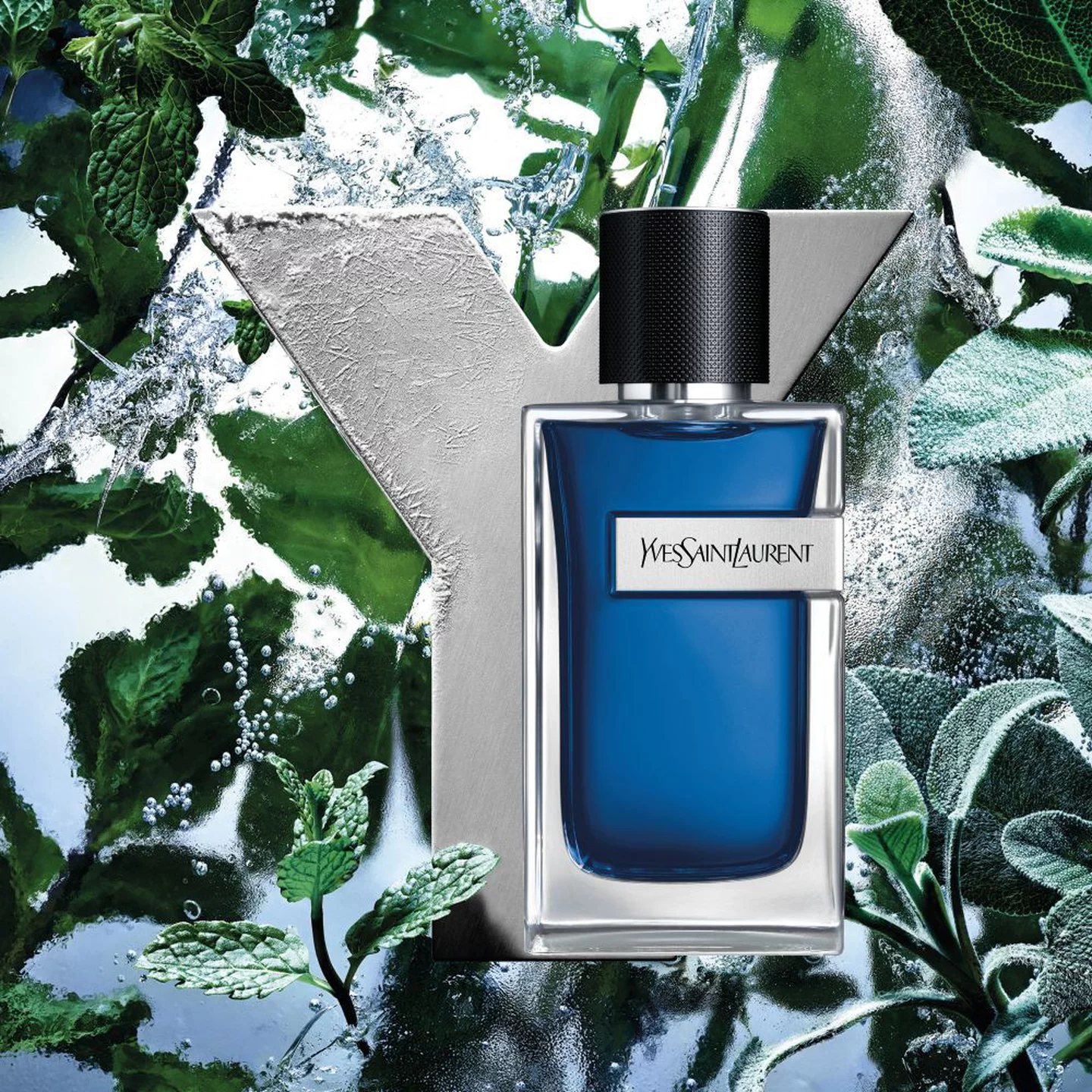 Y ICED COLOGNE