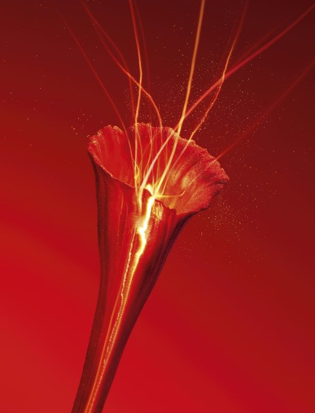 OR Rouge Collection - Exceptional Skincare - YSL Beauty Canada