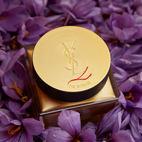 Inside Our Products - Standards & Star Ingredients - YSL Beauty