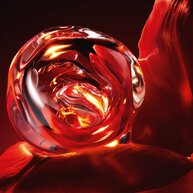 Or Rouge L'Huile visage