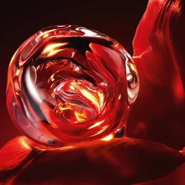 Or Rouge L'Huile Face Oil