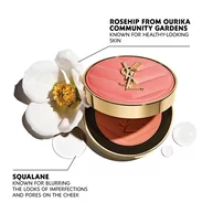 Make Me Blush - Bold Blurring Blush