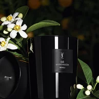 66 MARRAKECH NEROLI SCENTED CANDLE
