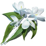 Pure Shots Clean Reboot Mousse