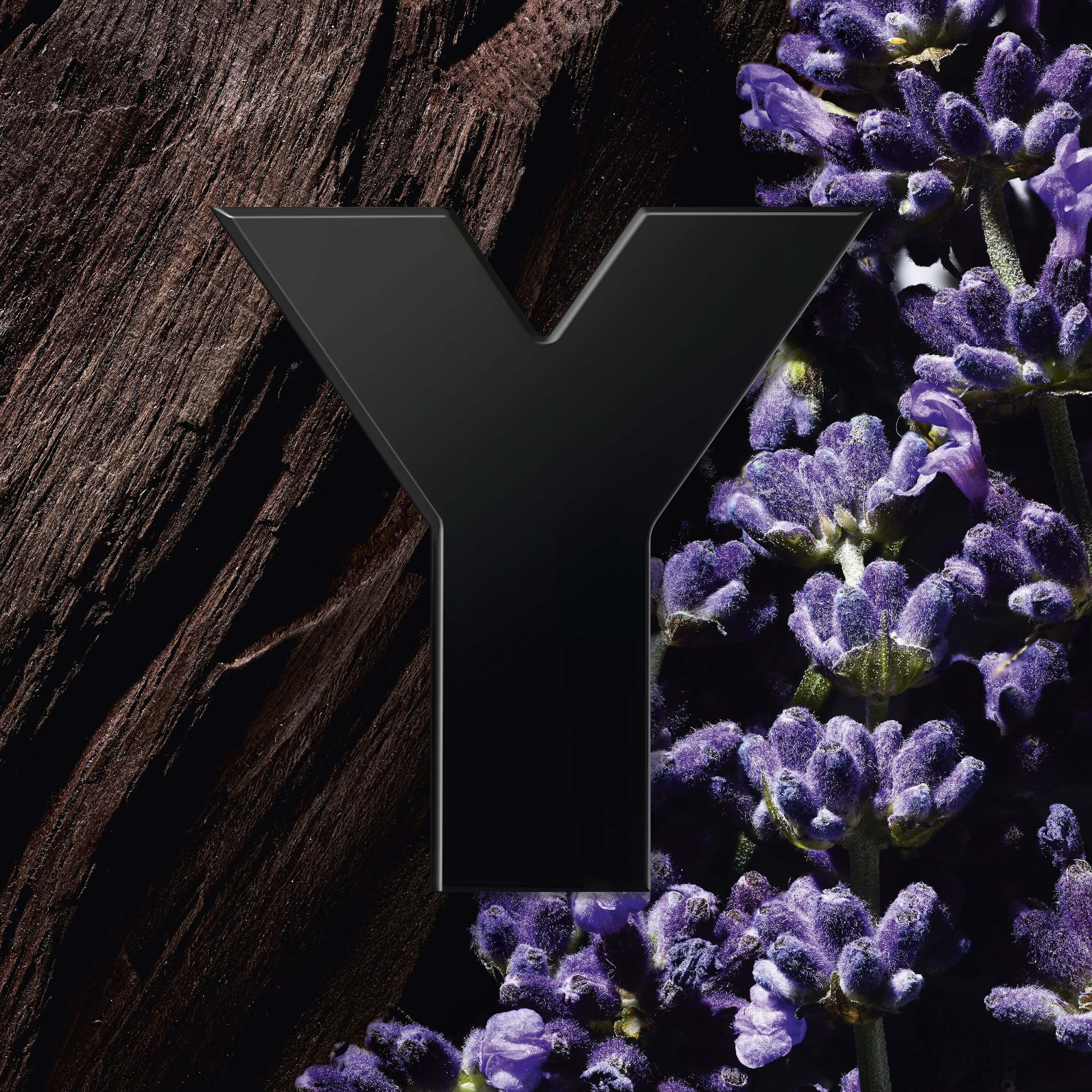 Ysl hotsell y black