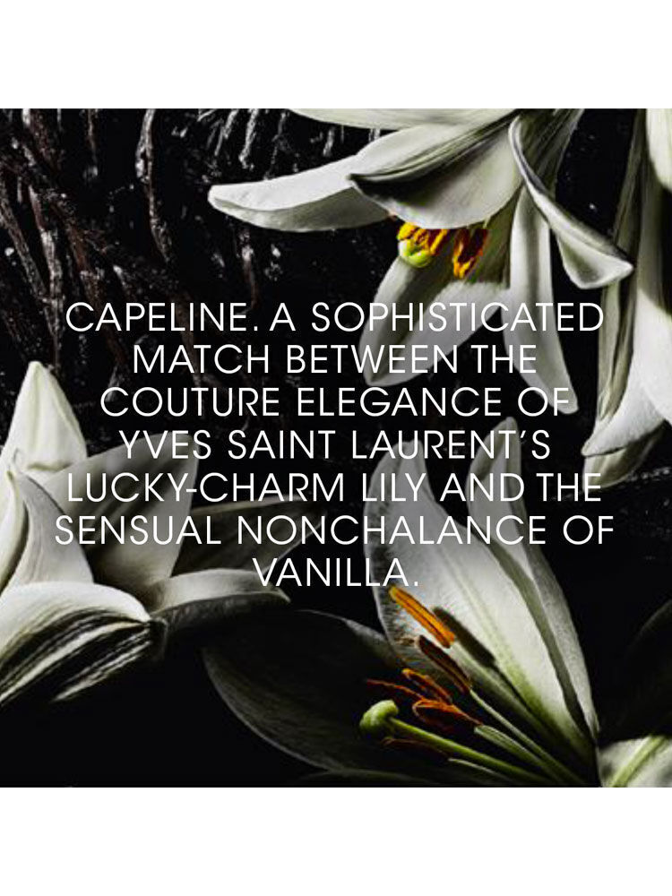 Capeline - Le Vestiaire des Parfums