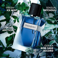 Y Iced Cologne Eau de Toilette Intense