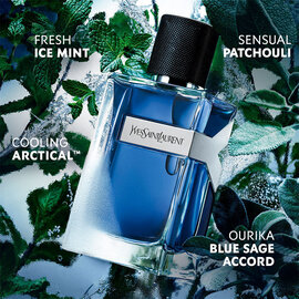 Y Iced Cologne Eau de Toilette Intense
