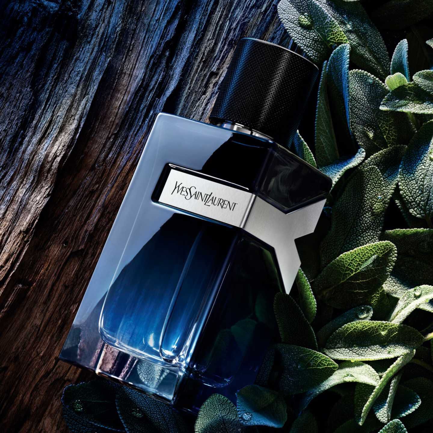 Y Eau de Parfum - Long-Lasting Men's Fragrance - YSL Beauty