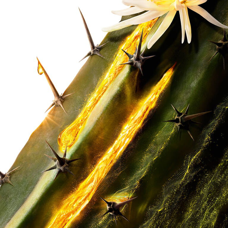 YSL Pure Shots Moonlight Cactus, un ingrédient clé, avec une fleur blanche et une essence dorée qui coule le long de la tige.
