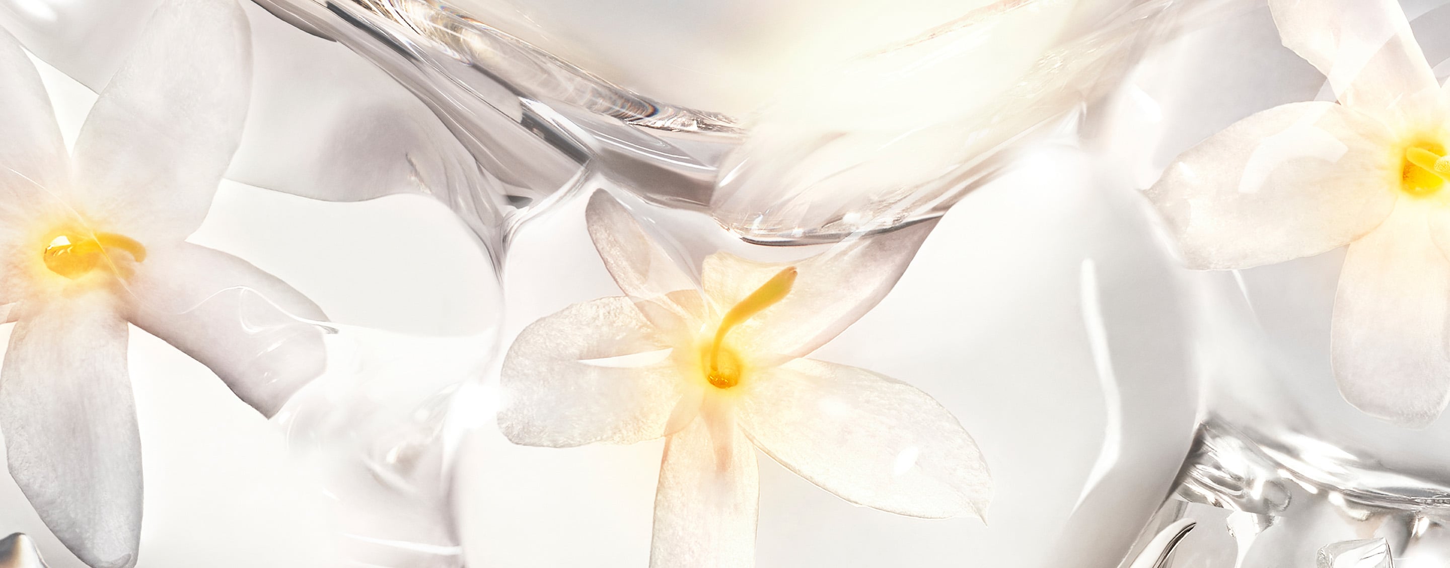 Ingrédients de jasmin blanc de CARE CRUSH dans une texture lumineuse et translucide. Soin YSL Beauté élégant.