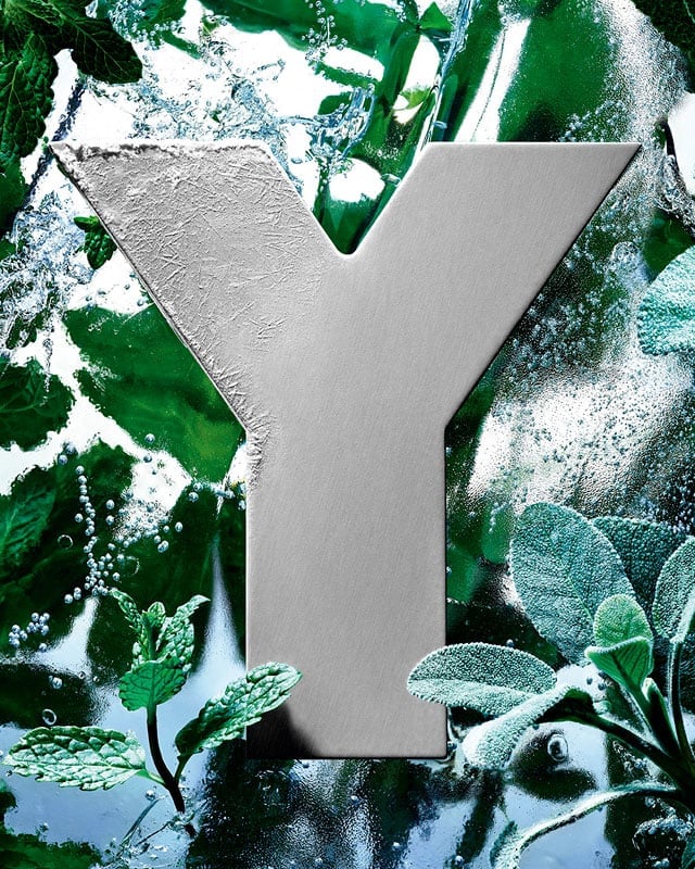 The YSL 'Y' logo, frosted with ice, surrounded by fresh mint and sage leaves.